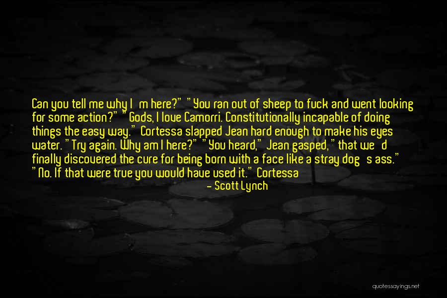 Tell Me Some Love Quotes By Scott Lynch