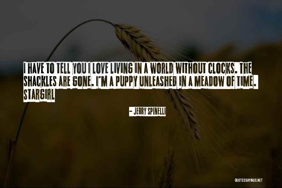 Tell The World Quotes By Jerry Spinelli Tell The World Quotes By Jerry Spinelli