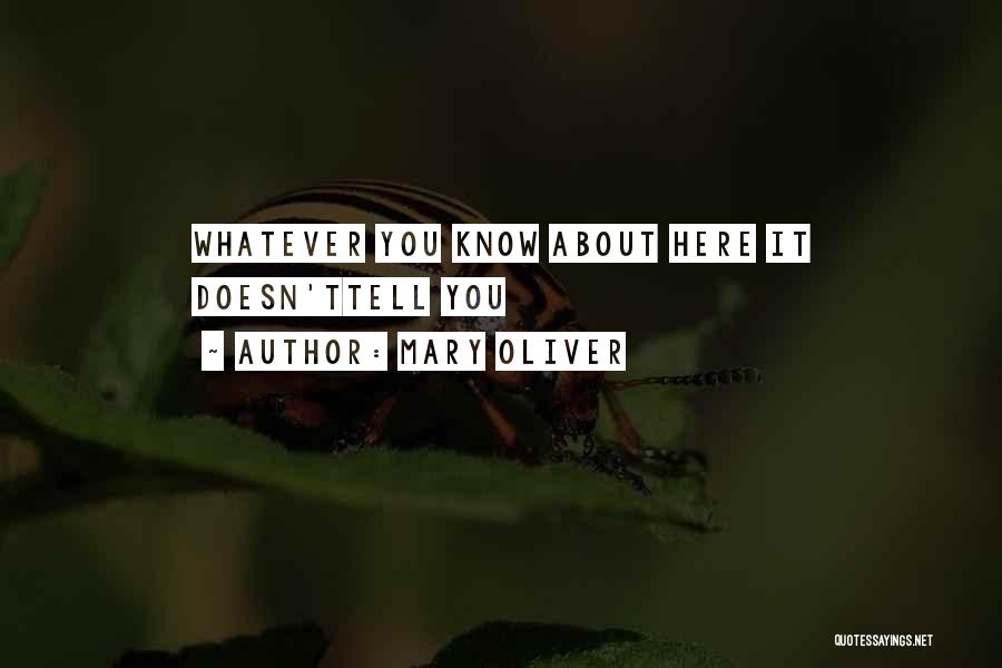 Tell Us About Yourself Quotes By Mary Oliver