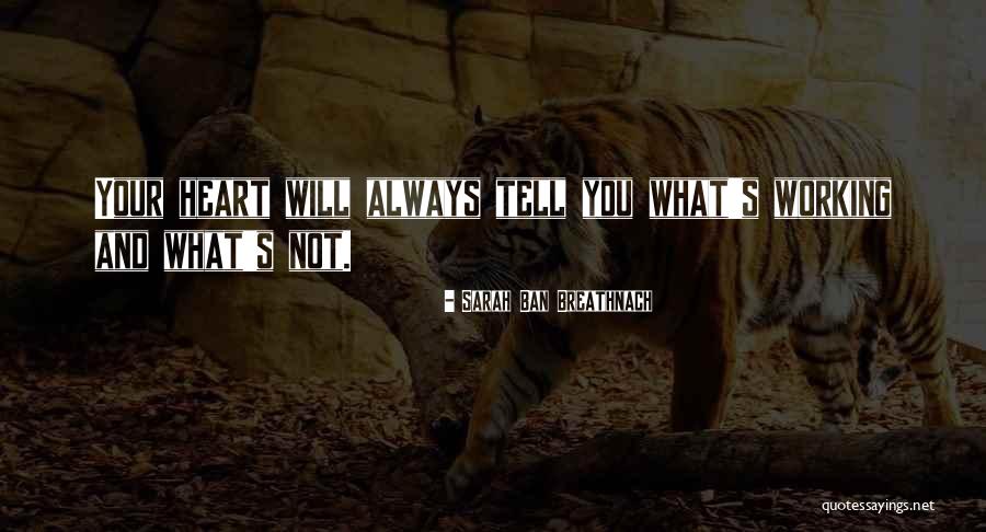 Tell Your Heart Quotes By Sarah Ban Breathnach Tell Your Heart Quotes By Sarah Ban Breathnach