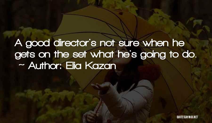 Telle Quotes By Elia Kazan