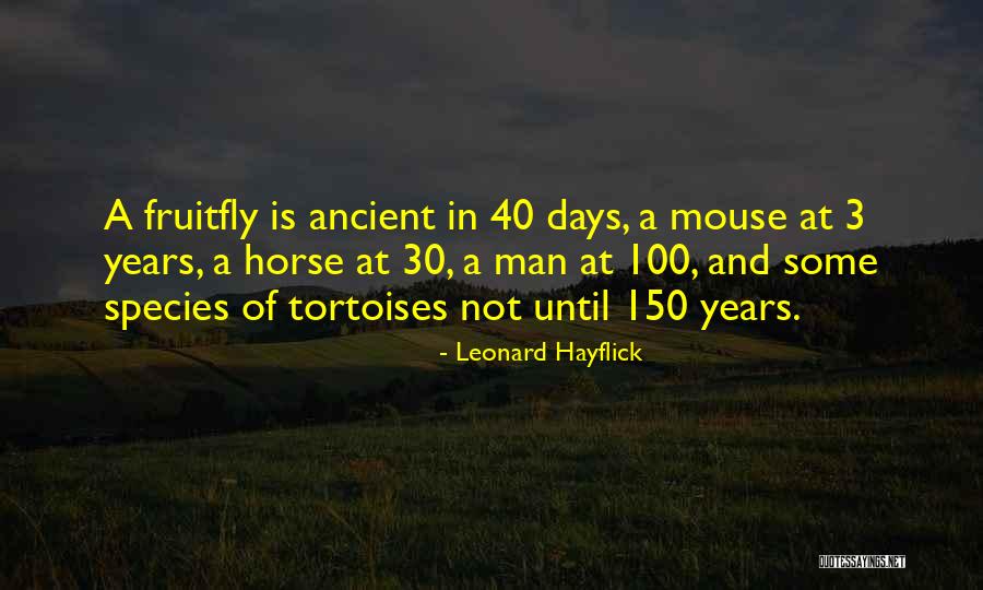 Tellier Studios Quotes By Leonard Hayflick Tellier Studios Quotes By Leonard Hayflick