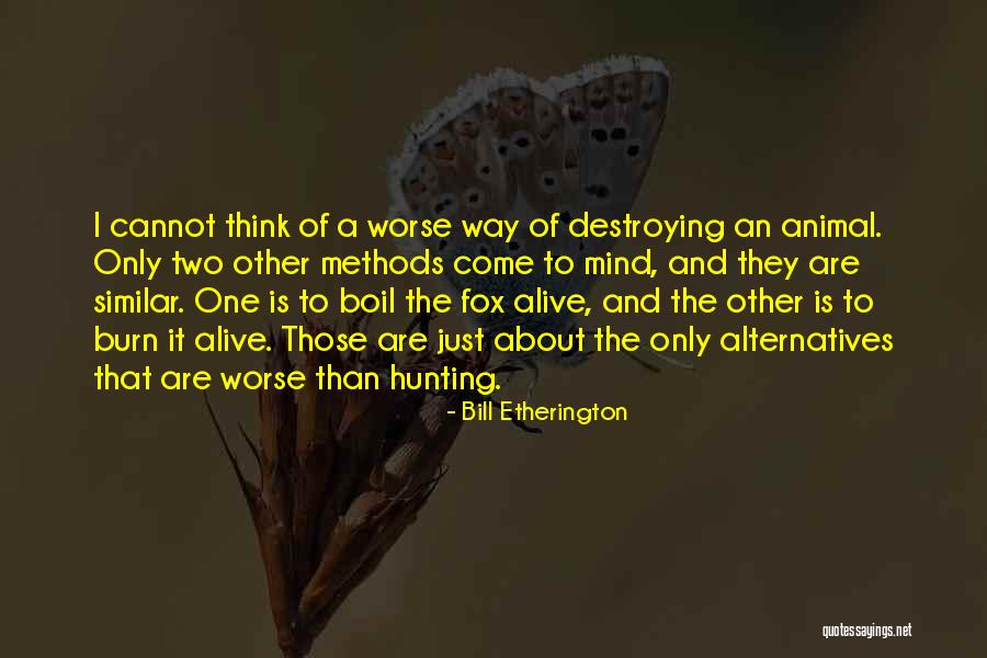 Telligen Careers Quotes By Bill Etherington Telligen Careers Quotes By Bill Etherington