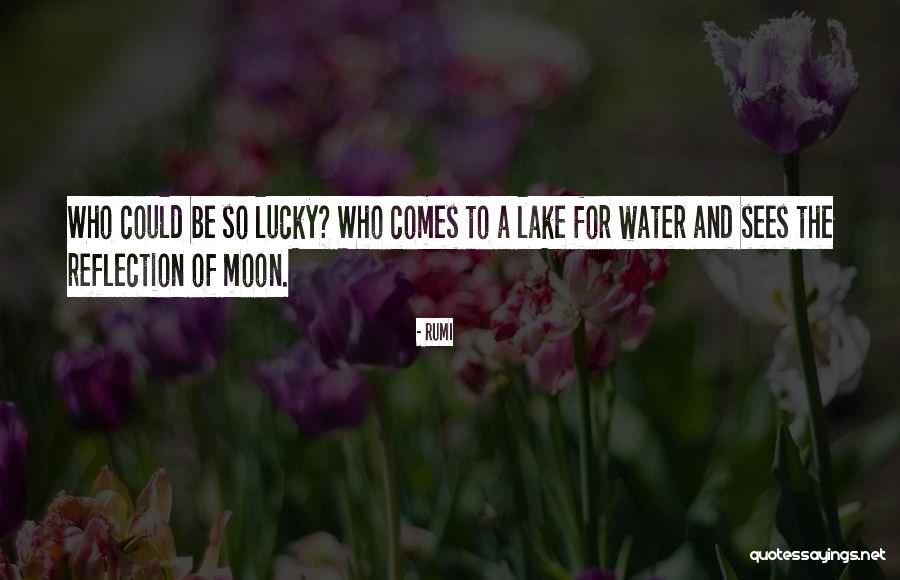 Telogo Gentong Quotes By Rumi