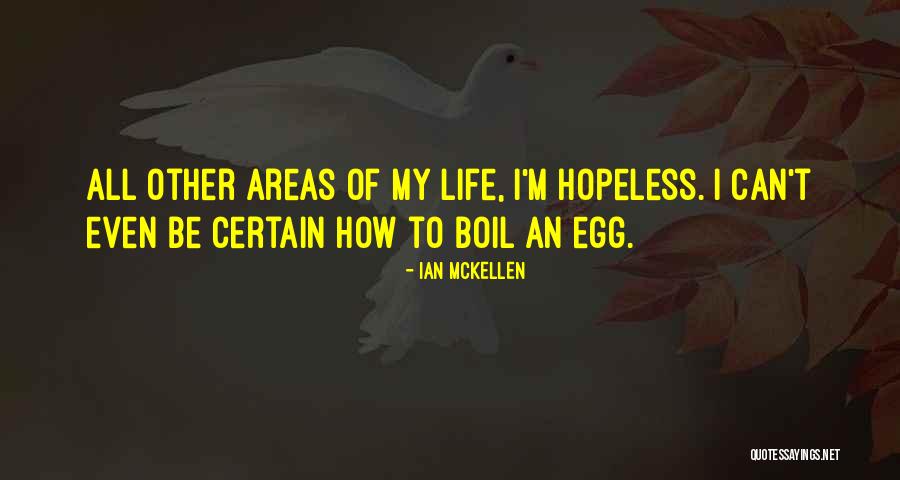 Temelj Quotes By Ian McKellen Temelj Quotes By Ian McKellen