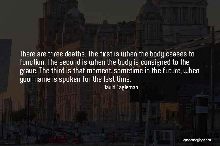 Temerario Quotes By David Eagleman Temerario Quotes By David Eagleman