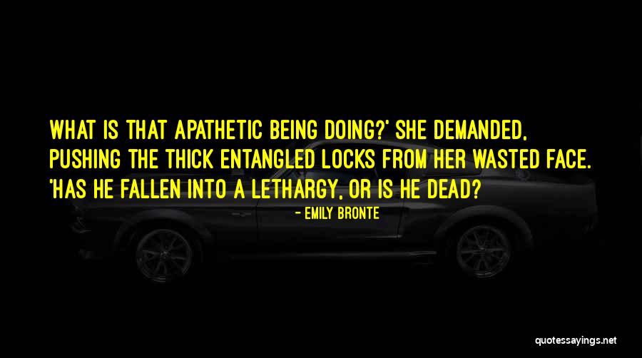 Temerosa En Quotes By Emily Bronte Temerosa En Quotes By Emily Bronte