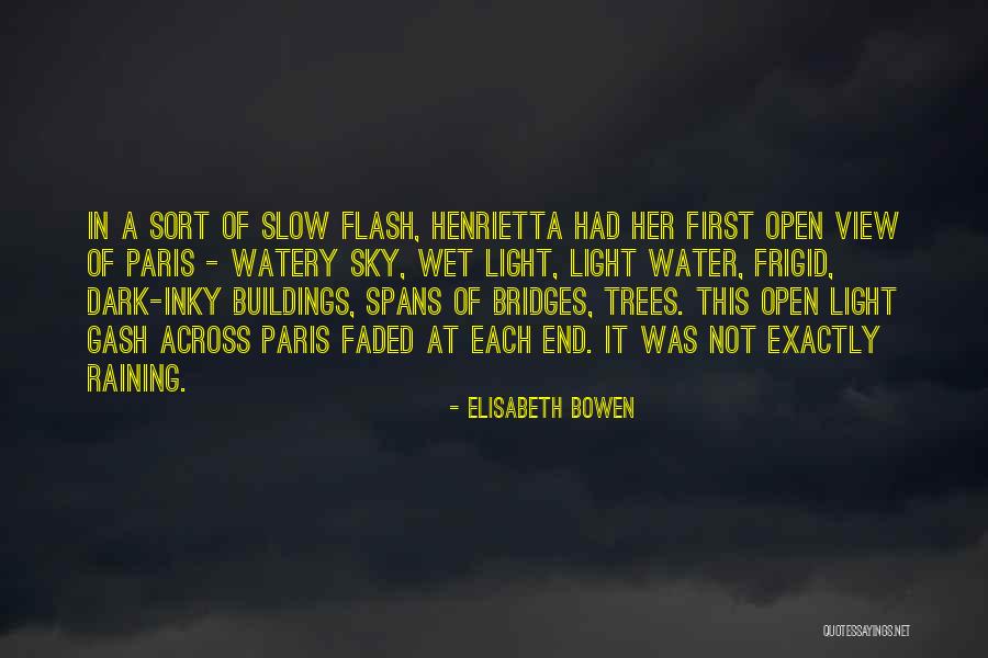 Temesgen Desalegn Quotes By Elisabeth Bowen Temesgen Desalegn Quotes By Elisabeth Bowen