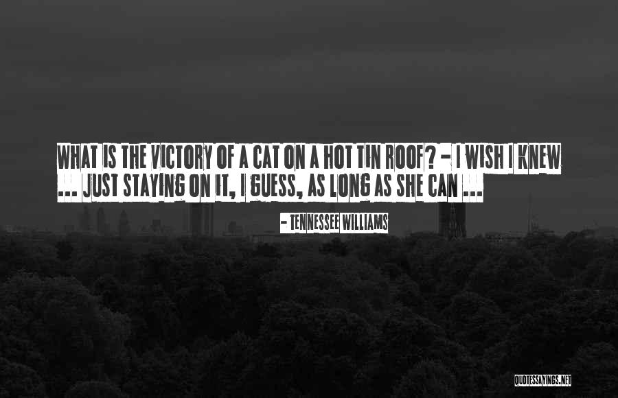 Temirlan Quotes By Tennessee Williams Temirlan Quotes By Tennessee Williams