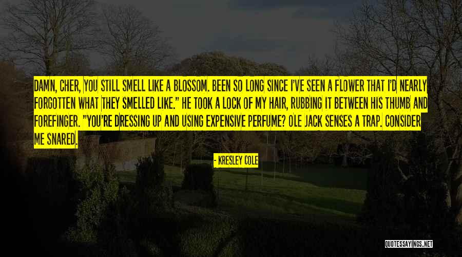 Temmel Real Estate Quotes By Kresley Cole Temmel Real Estate Quotes By Kresley Cole