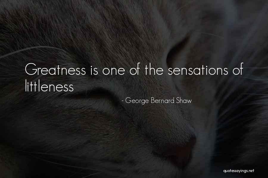 Temmerman Home Quotes By George Bernard Shaw Temmerman Home Quotes By George Bernard Shaw