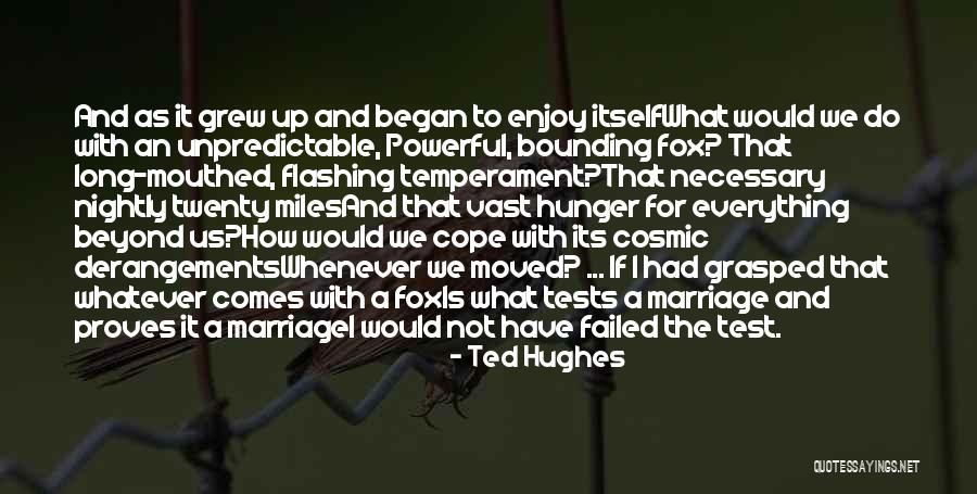 Temperament Quotes By Ted Hughes Temperament Quotes By Ted Hughes