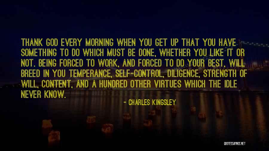 Temperance Quotes By Charles Kingsley