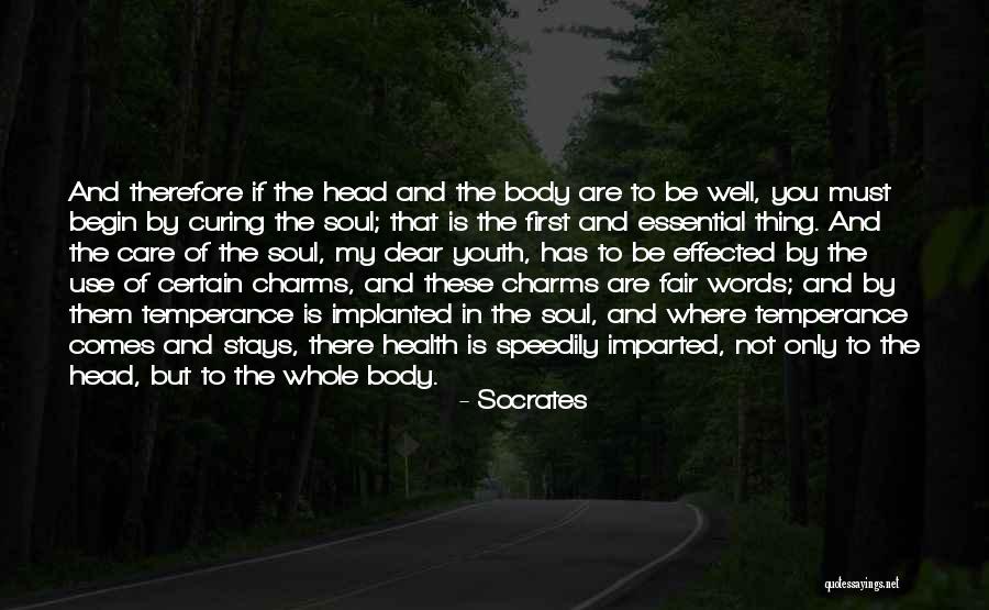 Temperance Quotes By Socrates