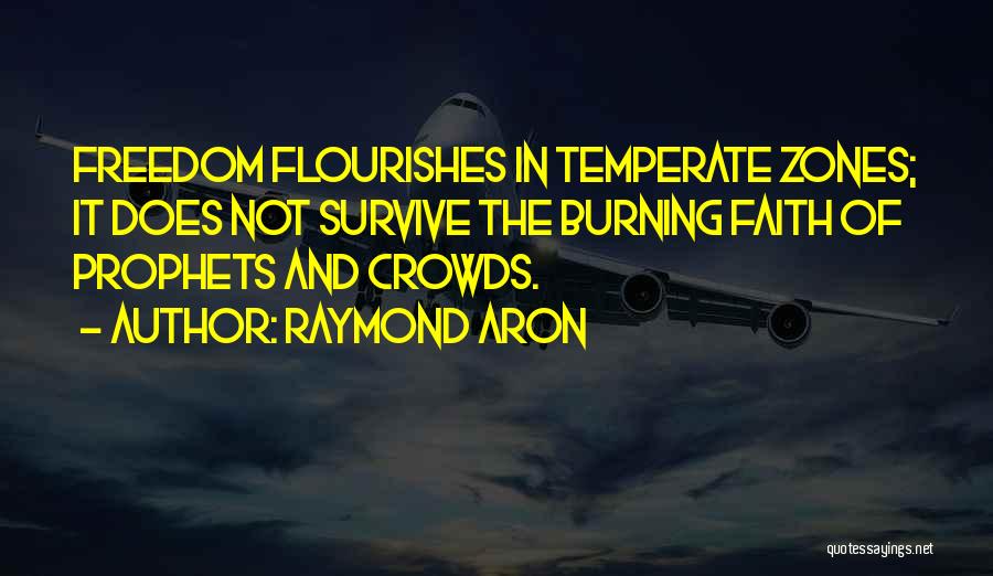 Temperate Quotes By Raymond Aron