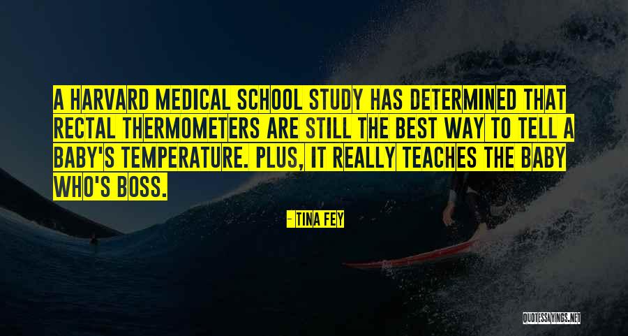 Temperature From C Quotes By Tina Fey Temperature From C Quotes By Tina Fey