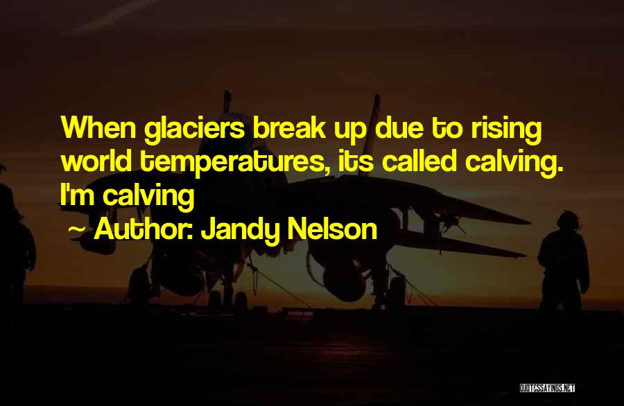 Temperatures Quotes By Jandy Nelson