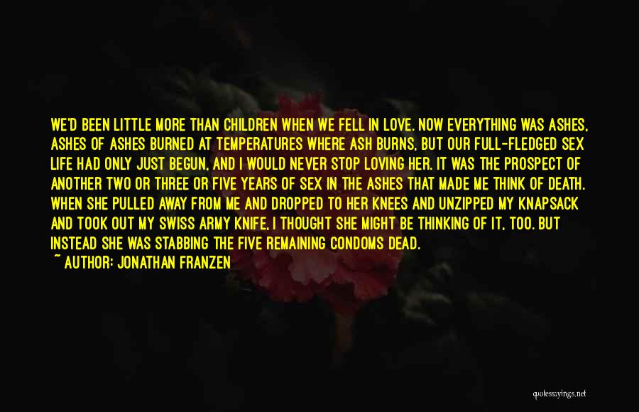 Temperatures Quotes By Jonathan Franzen