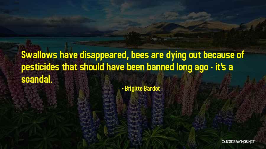 Tempests Kansas Quotes By Brigitte Bardot Tempests Kansas Quotes By Brigitte Bardot