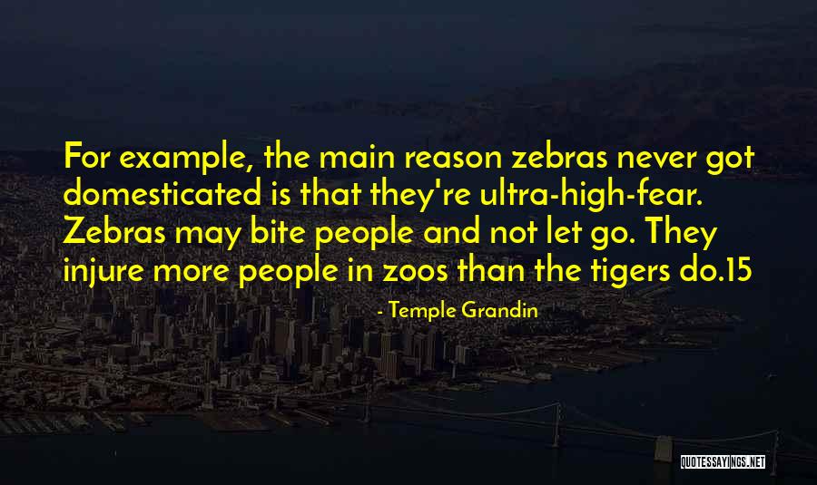 Temple Grandin Quotes 1136716