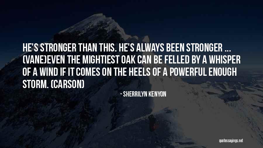 Temple Service Quotes By Sherrilyn Kenyon Temple Service Quotes By Sherrilyn Kenyon