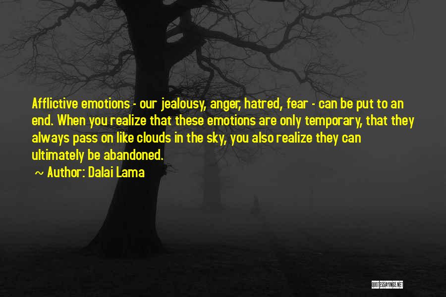 Temporary Emotions Quotes By Dalai Lama