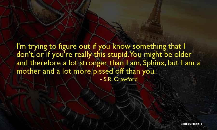 Temporary Fix Quotes By S.R. Crawford Temporary Fix Quotes By S.R. Crawford