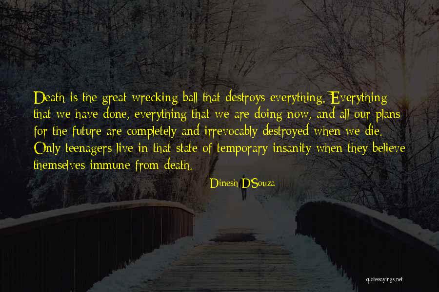 Temporary Insanity Quotes By Dinesh D'Souza Temporary Insanity Quotes By Dinesh D'Souza