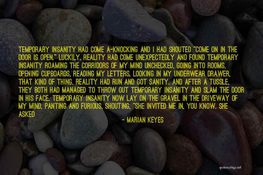Temporary Insanity Quotes By Marian Keyes Temporary Insanity Quotes By Marian Keyes