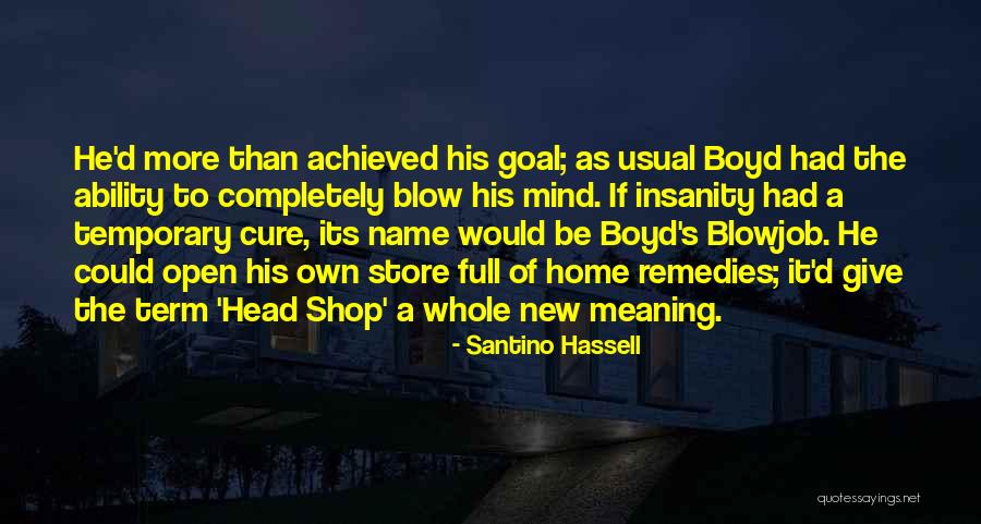 Temporary Insanity Quotes By Santino Hassell Temporary Insanity Quotes By Santino Hassell