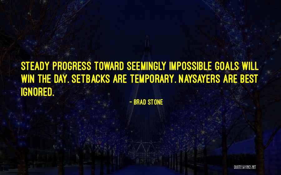 Temporary Setbacks Quotes By Brad Stone