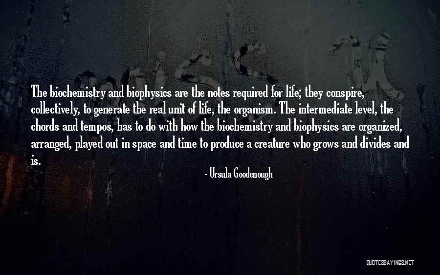 Tempos E Quotes By Ursula Goodenough Tempos E Quotes By Ursula Goodenough