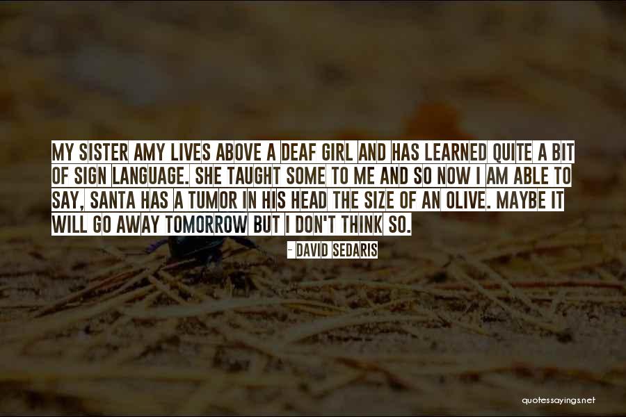 Temptation Quotes Quotes By David Sedaris Temptation Quotes Quotes By David Sedaris