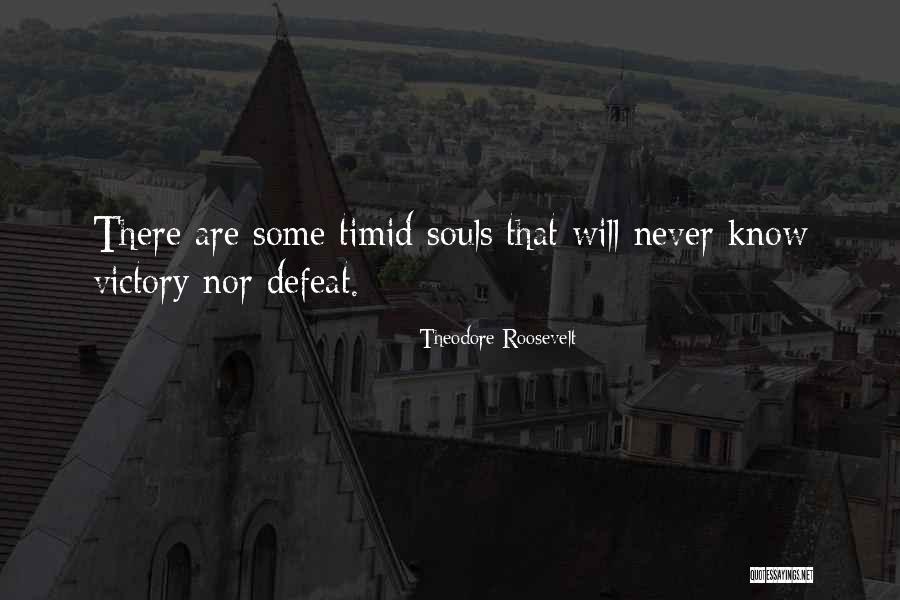 Temuri Ketsbaia Quotes By Theodore Roosevelt Temuri Ketsbaia Quotes By Theodore Roosevelt