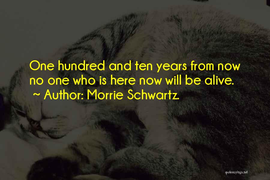 Ten Years From Now Quotes By Morrie Schwartz.