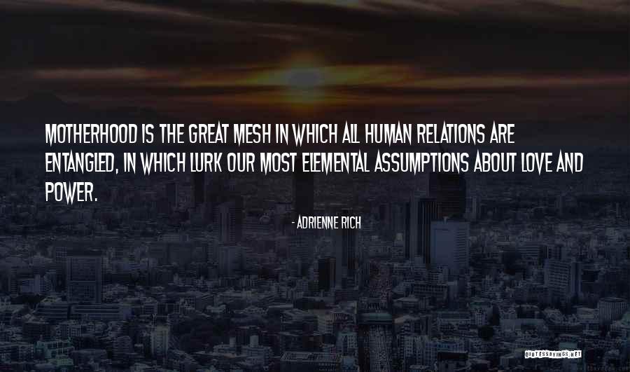 Tenacious Quotes Quotes By Adrienne Rich Tenacious Quotes Quotes By Adrienne Rich