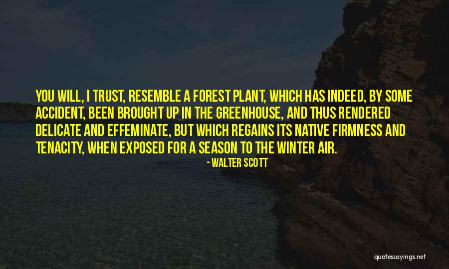 Tenacity Quotes By Walter Scott Tenacity Quotes By Walter Scott