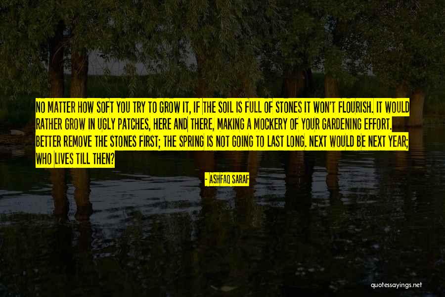Tenaglie Casa Quotes By Ashfaq Saraf Tenaglie Casa Quotes By Ashfaq Saraf
