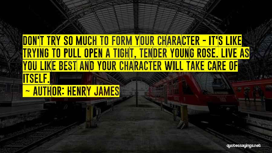 Tender Care Quotes By Henry James