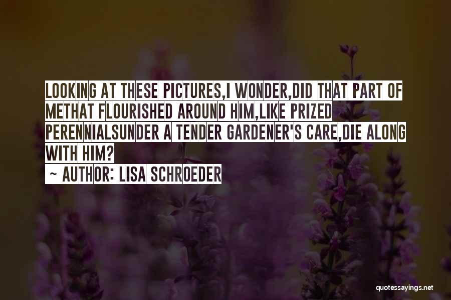 Tender Care Quotes By Lisa Schroeder