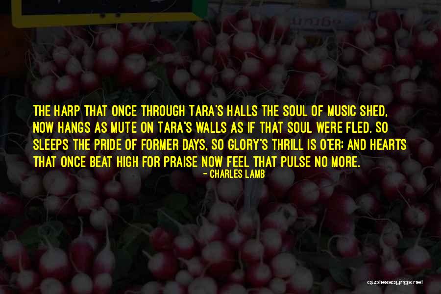 Tender Groin Muscles Quotes By Charles Lamb Tender Groin Muscles Quotes By Charles Lamb
