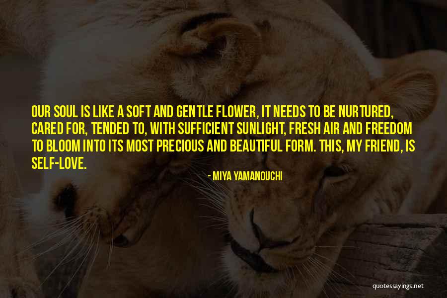 Tender Love And Care Quotes By Miya Yamanouchi Tender Love And Care Quotes By Miya Yamanouchi
