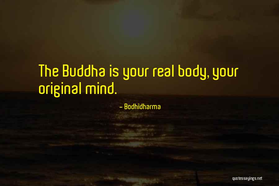 Tenderize Steak Quotes By Bodhidharma