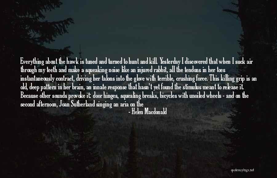 Tendons Quotes By Helen Macdonald Tendons Quotes By Helen Macdonald