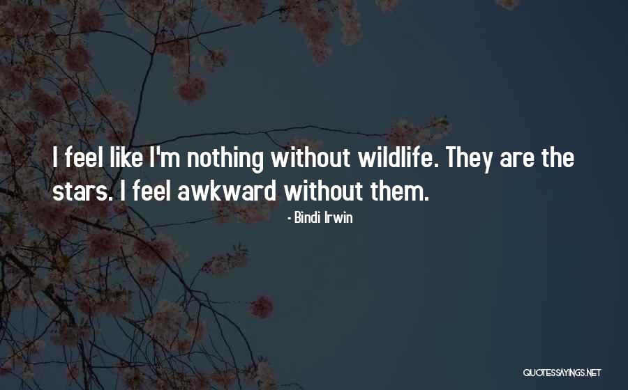 Tendou Souji Japanese Quotes By Bindi Irwin Tendou Souji Japanese Quotes By Bindi Irwin