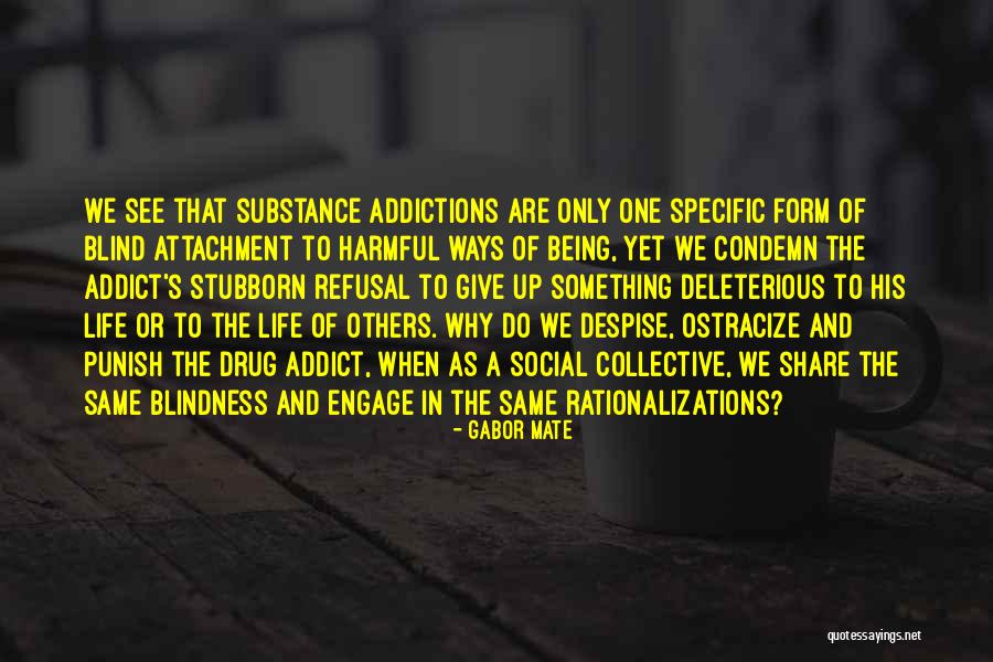 Tendulkars Last Match Quotes By Gabor Mate Tendulkars Last Match Quotes By Gabor Mate
