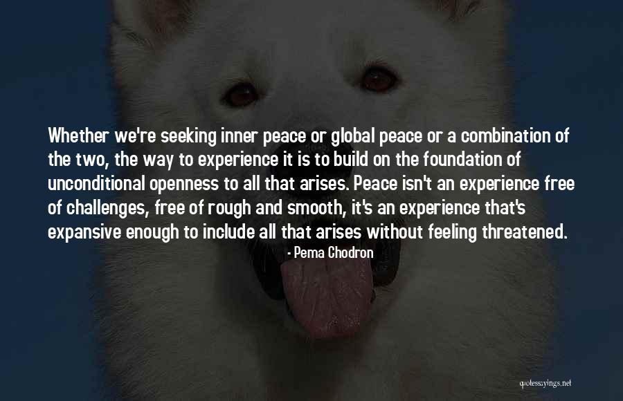 Tenencia Df Quotes By Pema Chodron Tenencia Df Quotes By Pema Chodron