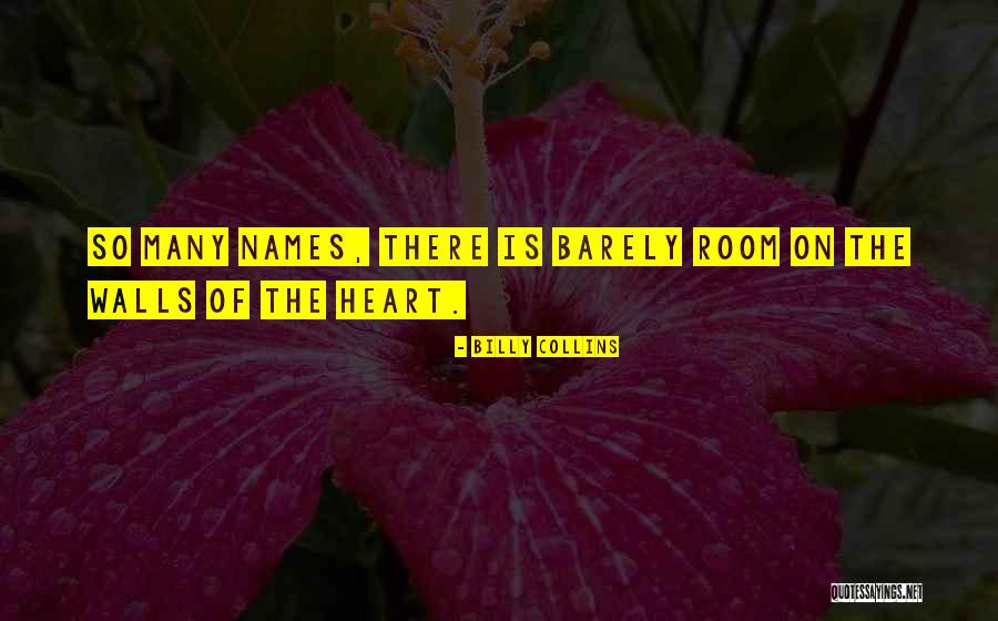 Tenian In English Quotes By Billy Collins Tenian In English Quotes By Billy Collins