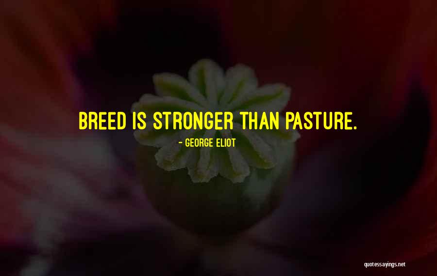 Tenma Sumeragi Quotes By George Eliot Tenma Sumeragi Quotes By George Eliot