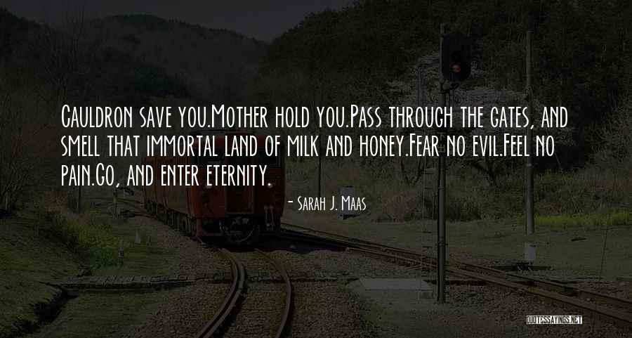 Tennapel Series Quotes By Sarah J. Maas Tennapel Series Quotes By Sarah J. Maas